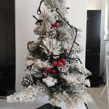 Bellacasa Airportstudio