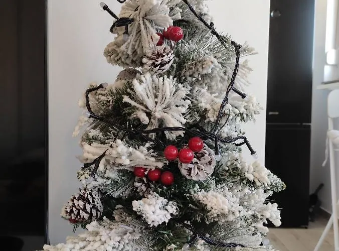 Bellacasa Airportstudio